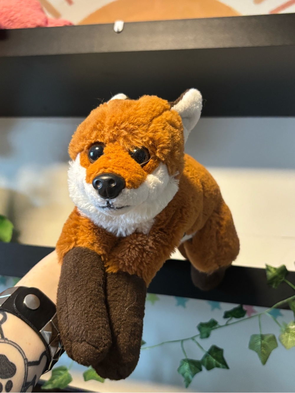 FAO Fox